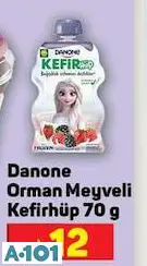 DANONE ORMAN MEYVELİ KEFİRHÜP 70 G